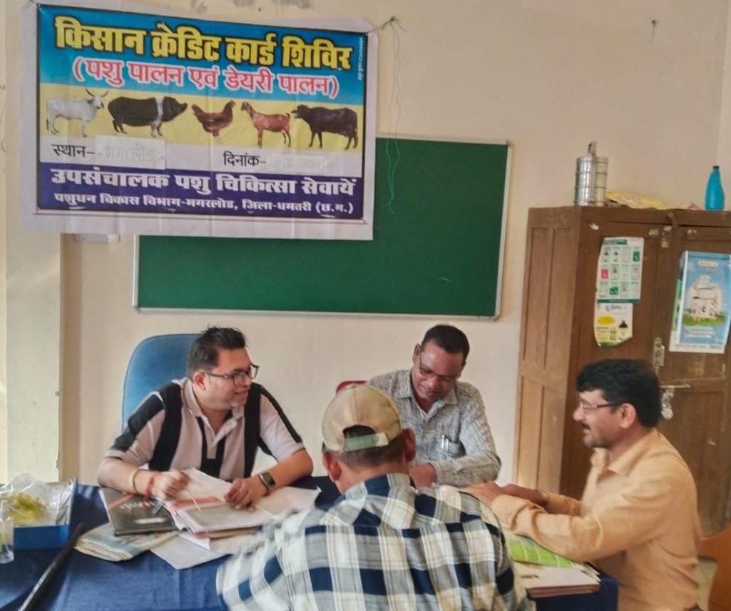 Animal Husbandry KCC से धमतरी के 93 पशुपालकों को मिली 98.62 लाख की वित्तीय संजीवनी,  ग्रामीण आजीविका को मिली नई उड़ान
