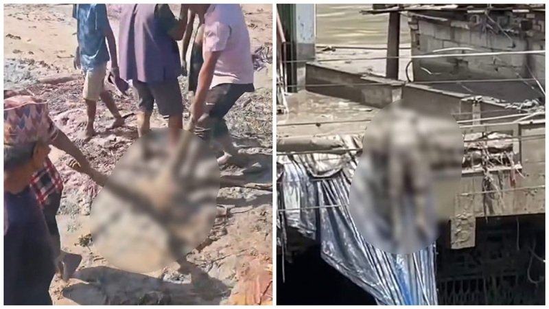 Nepal Flash Flood: नेपाल में मौत का सैलाब! कोई शेड से लटकता मिला तो किसी की मिली क्षत-विक्षत बॉडी; 160 की मौत, 750+ लापता; 133 भारतीयों का पता नहीं; यहां देखें भयावह VIDEO