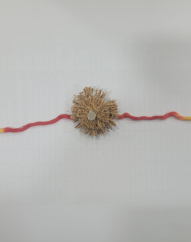 Raksha Bandhan 2026 : खस से बनी अनोखी राखियां, पानी की बूंद पड़ते ही बिखेरेंगी खुशबू, बहनों के प्यार से महकेगी भाइयों की कलाई