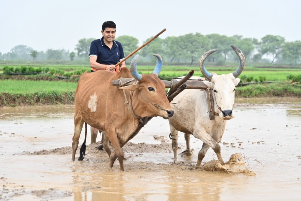 Hareli हमारी माटी, कृषि और संस्कृति से जुड़ा उत्सव, राजस्व मंत्री टंक राम वर्मा, राजस्व मंत्री टंक राम वर्मा ने प्रदेशवासियों को दी हरेली तिहार की बधाई एवं शुभकामनाएँ