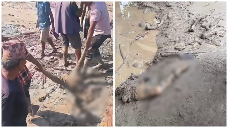 Nepal Flood Death Toll: नेपाल में तबाही के 5 दिन बाद भी हाहाकार! 788 की मौत 2500 से ज्यादा लापता; कई रास्ते बंद, सुरंगों में अब भी जिंदगी की तलाश