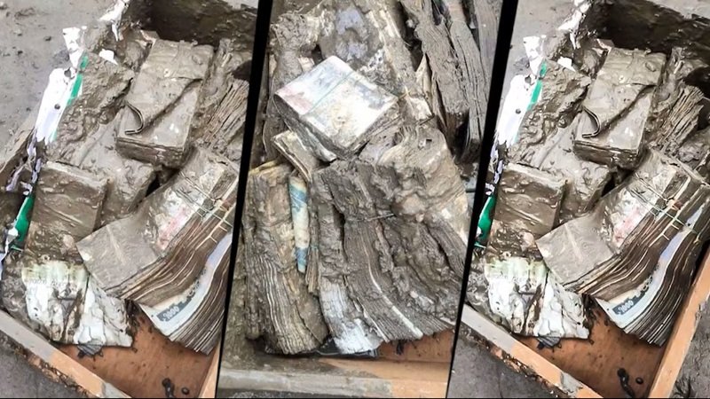 Bank Rescue from Flood: नेपाल बाढ़ में डूबा बैंक, पानी और मलबे में दबा बैंक; 8 घंटे का ऑपरेशन में बाहर निकला 50 करोड़ नकदी और सोना
