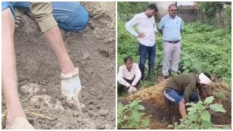 Newborn Death : दिल दहला देने वाला मामला…! अविवाहित बेटी के नवजात को गोबर के ढेर में जिंदा दफनाया…फिर नाना ने खाया जहर…गांव वालों की सतर्कता से खुला राज