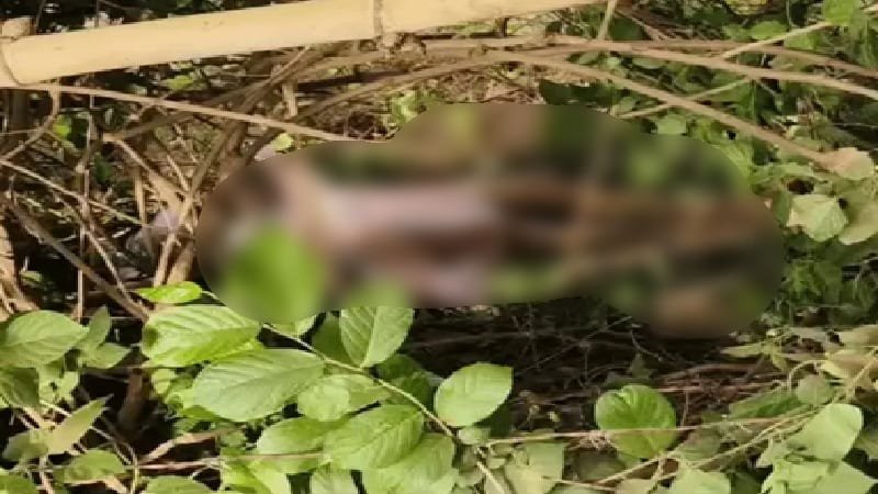 Murder after Rape : सुबह शौच के लिए निकली थी बच्ची…! कुछ देर बाद राहगीरों ने झाड़ियों के बीच देखा निर्वस्त्र शव…स्थानीय लोगों ने कपड़े से ढका…हत्या के एंगल से जांच में जुटी पुलिस