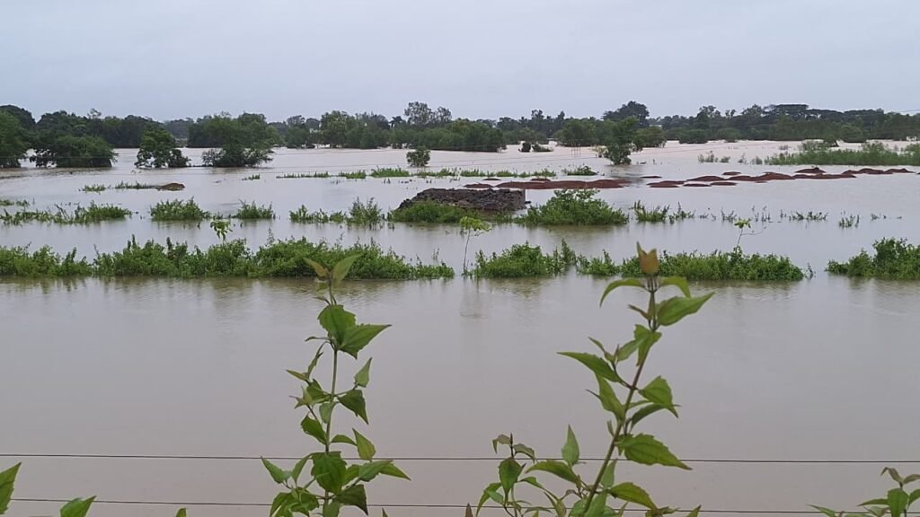 Bastar में बारिश थमी, लेकिन नदियां उफान पर, प्रशासन अलर्ट, खतरे के निशान से 4.26 मीटर ऊपर पहुंच सकता है इंद्रावती का जलस्तर