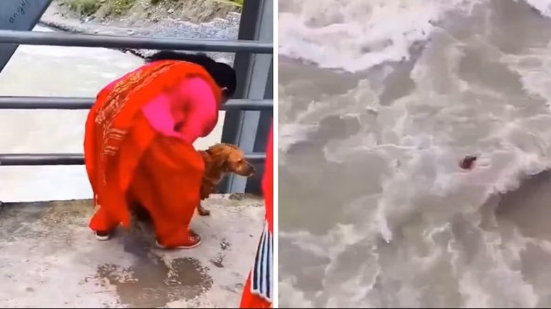 Nepal Dog Viral Video: इंसानियत शर्मसार, महिला ने कुत्ते को पुल से नदी में फेंका, VIDEO वायरल होते ही मचा बवाल; पुलिस ने शुरू की जांच