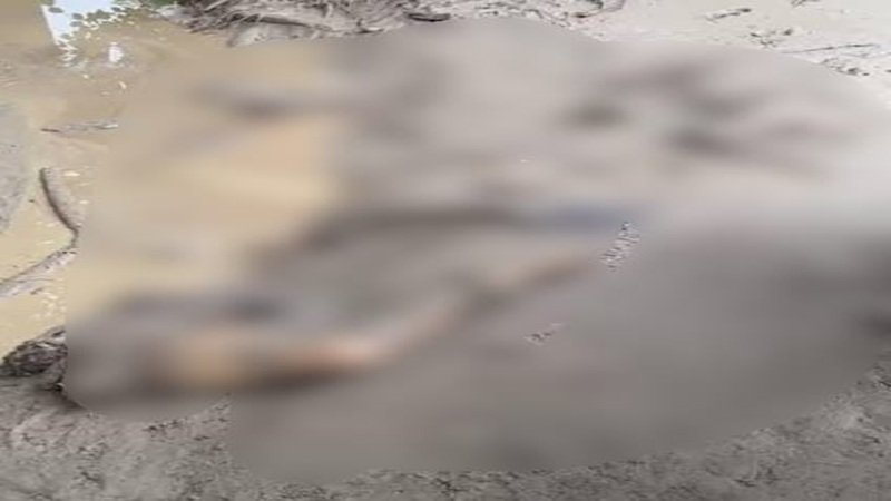 Nepal Flood News: तबाही का 7वां दिन, एक घर से मिले 23 शव; हजारों लापता और महामारी का खतरा, रेस्क्यू टीमों के सामने भयावह मंजर
