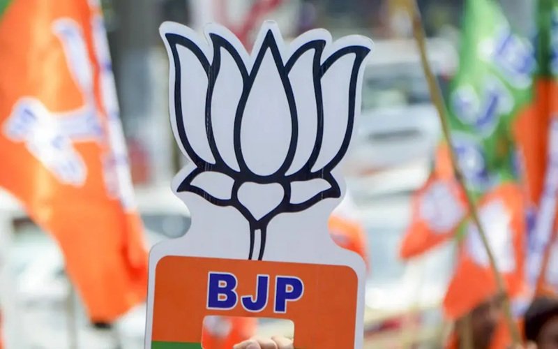 CG BJP Economic Cell: छत्तीसगढ़ भाजपा आर्थिक प्रकोष्ठ में नई नियुक्तियां, 36 जिलों और 5 संभागों में किसे मिली जिम्मेदारी? देखें पूरी List