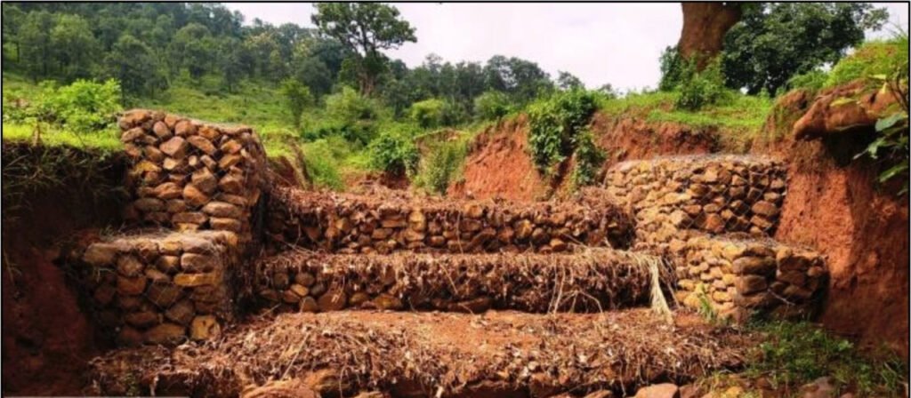 Bastar में जल एवं मृदा संरक्षण की मिसाल बनी कुरमंडी नाले पर निर्मित गेबियन संरचना