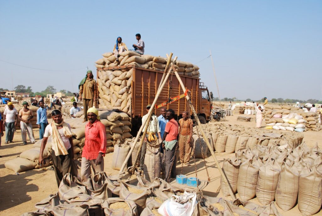 CG Farmers News : छत्तीसगढ़ में 3 साल में 437 लाख मीट्रिक टन धान की खरीदी, किसानों को मिला 1.40 लाख करोड़ रुपये से अधिक का भुगतान