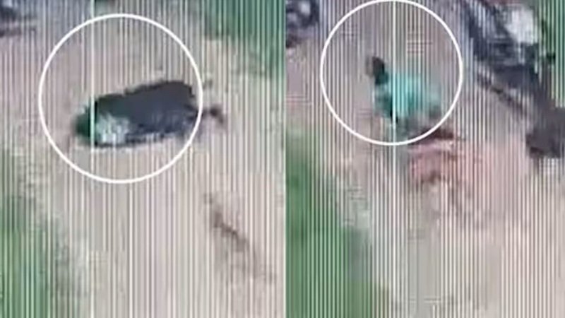Sex with a Dog: कितना गिरेगा इंसान! वियाग्रा खाकर कुत्ते के साथ सेक्स; CCTV वीडियो वायरल होने के बाद आरोपी गिरफ्तार