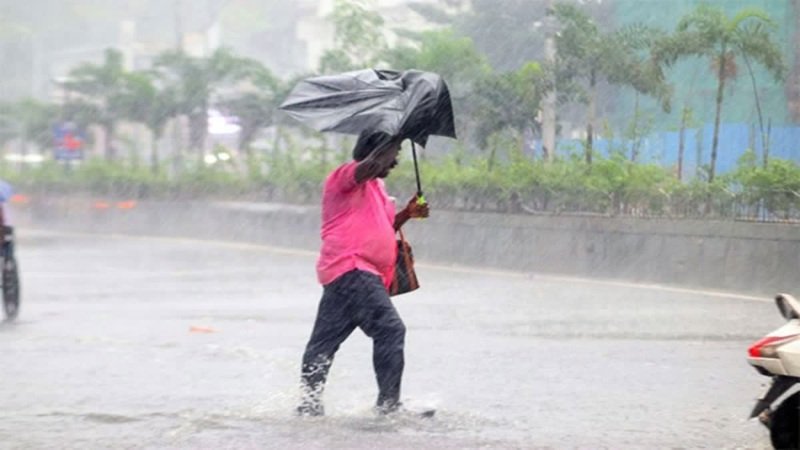 CG Weather Alert: छत्तीसगढ़ में चक्रवाती तूफान का असर! 25 से 29 अक्टूबर तक भारी बारिश; किसानों को धान कटाई रोकने की सलाह, बस्तर से लेकर मैदानी इलाकों तक अलर्ट