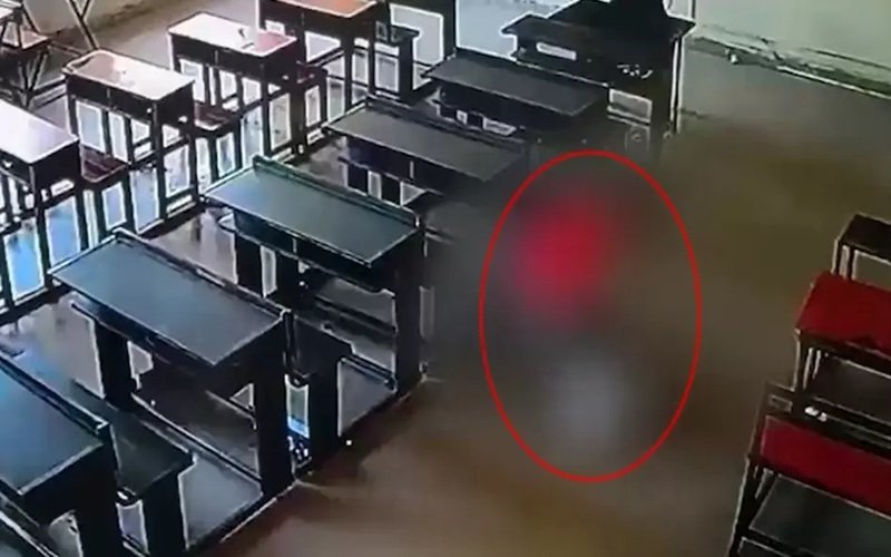 Panchkula School Incident: स्कूल में खौफनाक घटना! KG की बच्ची को बेहोश होते तक बेरहमी से पीटा; पत्थर और गमले से हमला कर घसीटा, यहां देखें CCTV